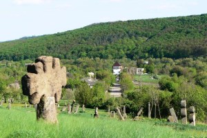 Козацьке кладовище, Буша